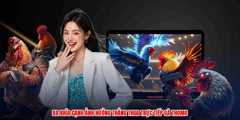 Ba khía cạnh ảnh hưởng thắng thua trực tiếp gà thomo