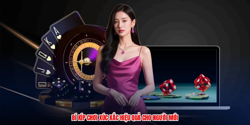 Bí kíp chơi xúc xắc hiệu quả cho người mới