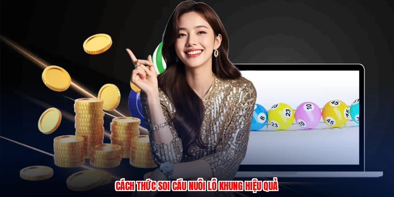 Cách thức soi cầu nuôi lô khung hiệu quả