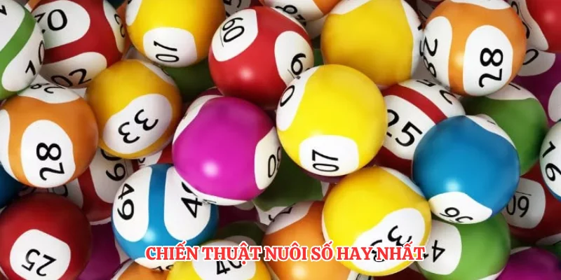Chiến thuật nuôi số hay nhất