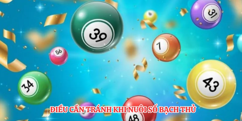 Điều cần tránh khi nuôi số bạch thủ