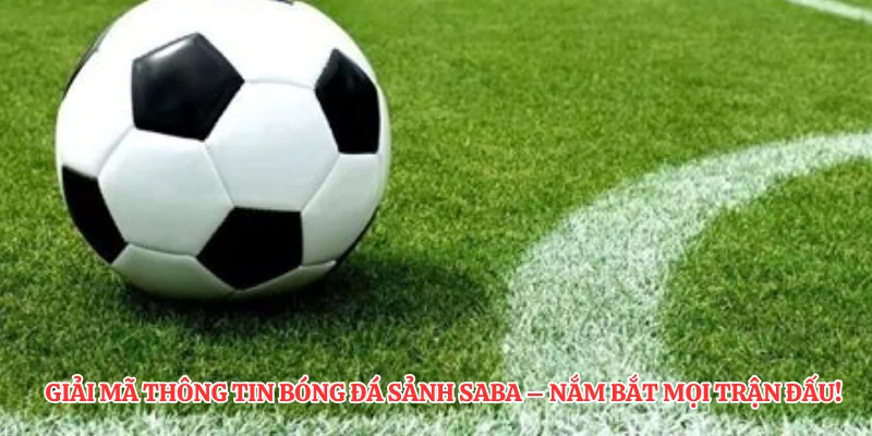 Giải mã thông tin bóng đá sảnh SABA - Nắm bắt mọi trận đấu!