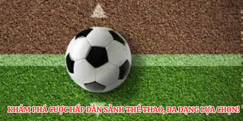 Khám phá cược hấp dẫn sảnh thể thao, đa dạng lựa chọn!
