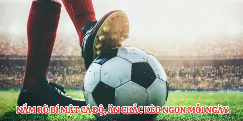 Nắm rõ bí mật cá độ, ăn chắc kèo ngon mỗi ngày.