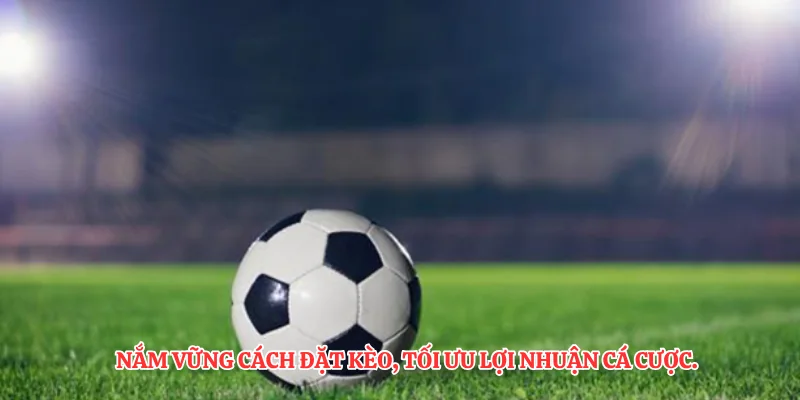 Nắm vững cách đặt kèo, tối ưu lợi nhuận cá cược.