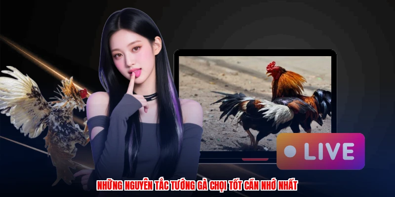 Những nguyên tắc tướng gà chọi tốt cần nhớ nhất